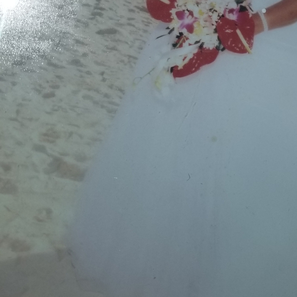 Wedding Gown - Picture 3 of 4
